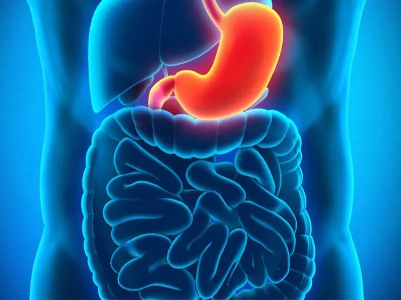 Stop Eating These 3 Foods That Are Secretly Des.troying Your Sto.mach Health