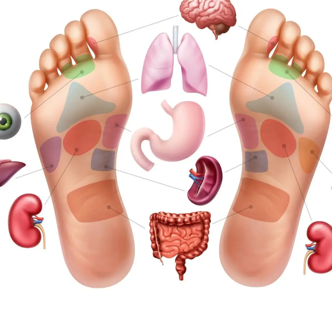 To know if your internal organs are infected, just look at your feet