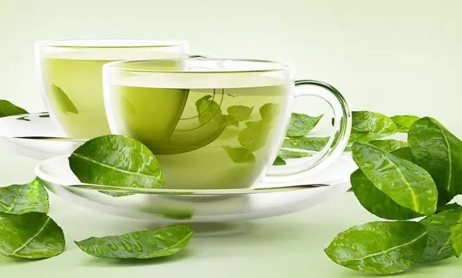 Is Green Tea Really for Everyone? Discover Who Should Limit This Health Drink!