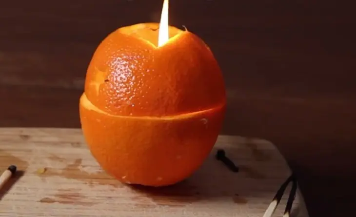 Don’t Throw Them Away! These 5 Fruit Peels Can Repel Mosquitoes and Make Your Home Smell Amazing