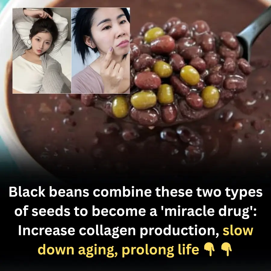 Black beans combine these two types of seeds to become a 'miracle drug': Increase collagen production, slow down aging, prolong life 👇 👇