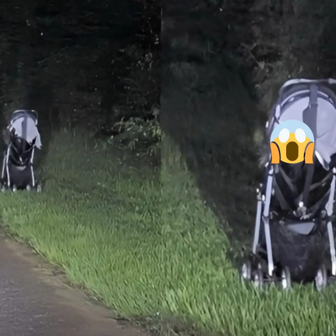 Woman issues terrifying warning after finding a stroller abandoned on the side of the road