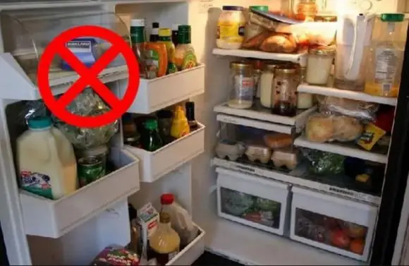 A Common Mistake Everyone Makes: It’s Not Leftovers — These 5 Foods Are the Real “Silent Kil.lers” Hiding in Your Kitchen!