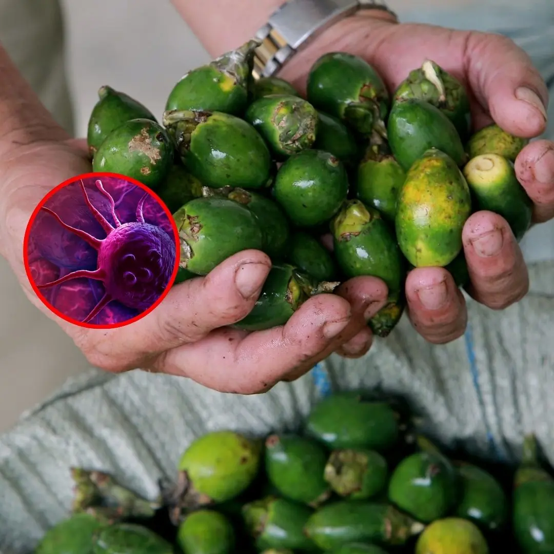 4 fruits that "feed" can.cer cells avoid them at all costs, no matter how cheap they are