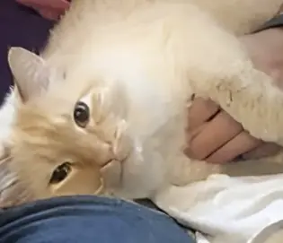 The Silent Bond: How My Autistic Brother’s First Words Changed Everything