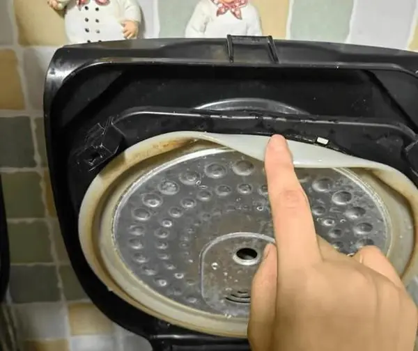 Four parts of a rice cooker you must clean — or you might end up eating rice with cockroaches!