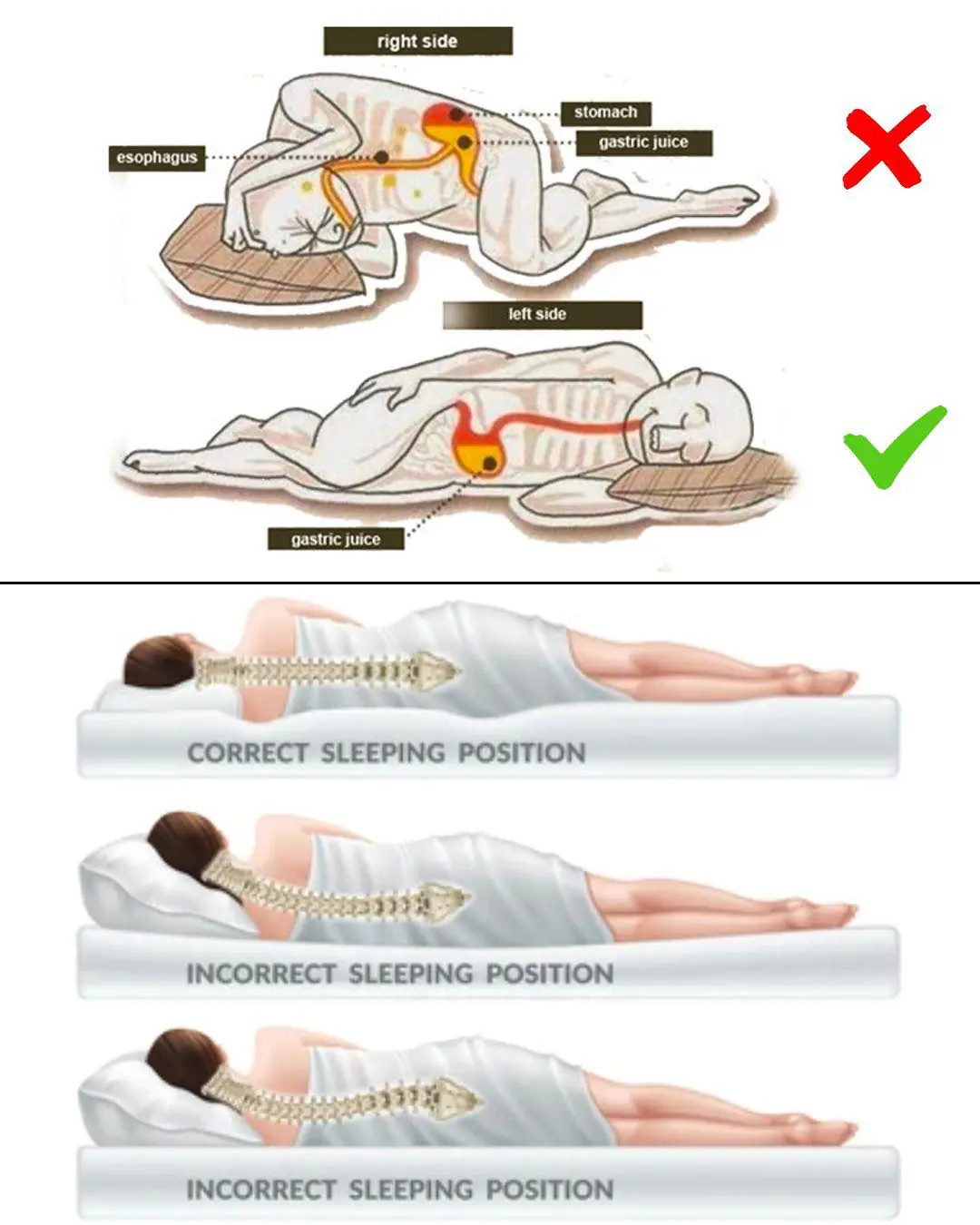 Sleeping on Your Left Side: The Unexpected Benefit for Your Heart, Digestion, and Brain