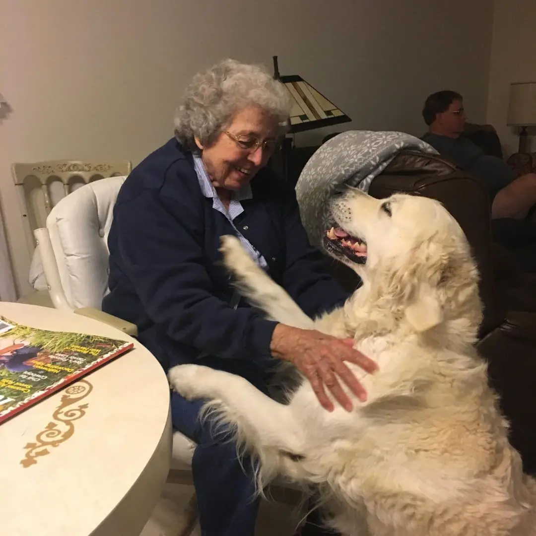 “Even the dog won’t eat your cutlets,” my husband used to laugh, throwing my food away