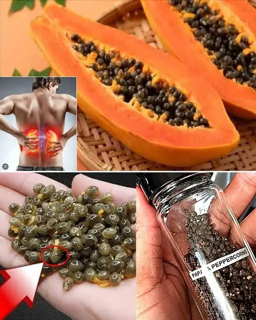 Amazing effects of papaya seeds you may not know