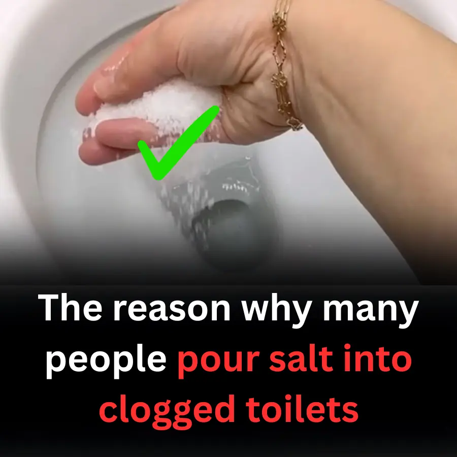 The reason why many people pour salt into clogged toilets