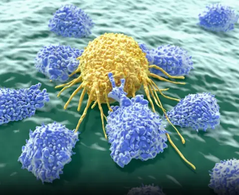 Itching in 9 Areas: A Warning Sign of Malignant Tumors, Number 7 Is the Most Common