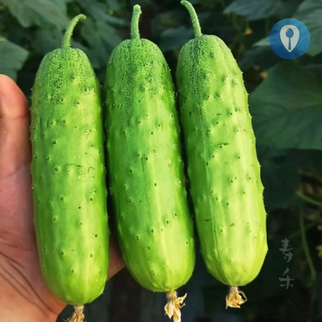 People who regularly eat cucumbers may experience 3 remarkable changes over time