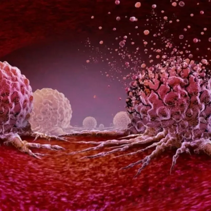 7 Foods That May Help Your Body Fight Can.cer Add Them to Your Diet Today