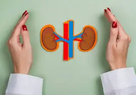 The number of people experiencing kidney issues has been rising each year. Doctors warn that these four types of beverages should be limited to support kidney health.