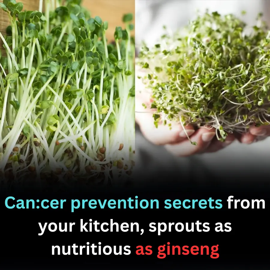 Can:cer prevention tips from your kitchen