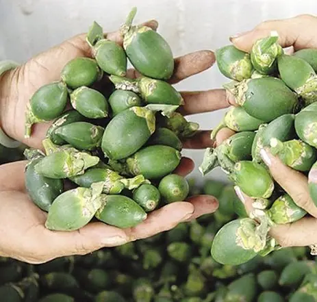 Doctor’s note: 4 fruits you should limit due to potential health risks, even if they seem affordable.