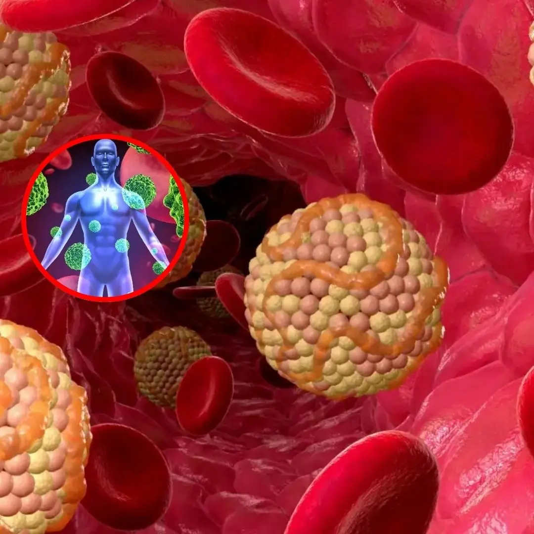 Warning: 10 Overlooked Symptoms That Could Signal B.l.o.o.d Can.cer