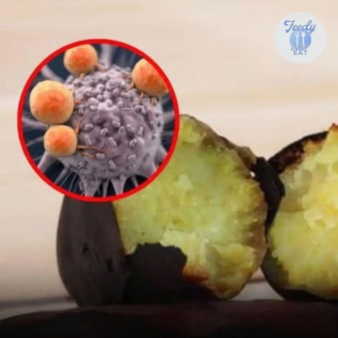 Japan Considers This the “Strongest Anti-Canc.er Food” — Vietnamese People Have Eaten It for Thousands of Years