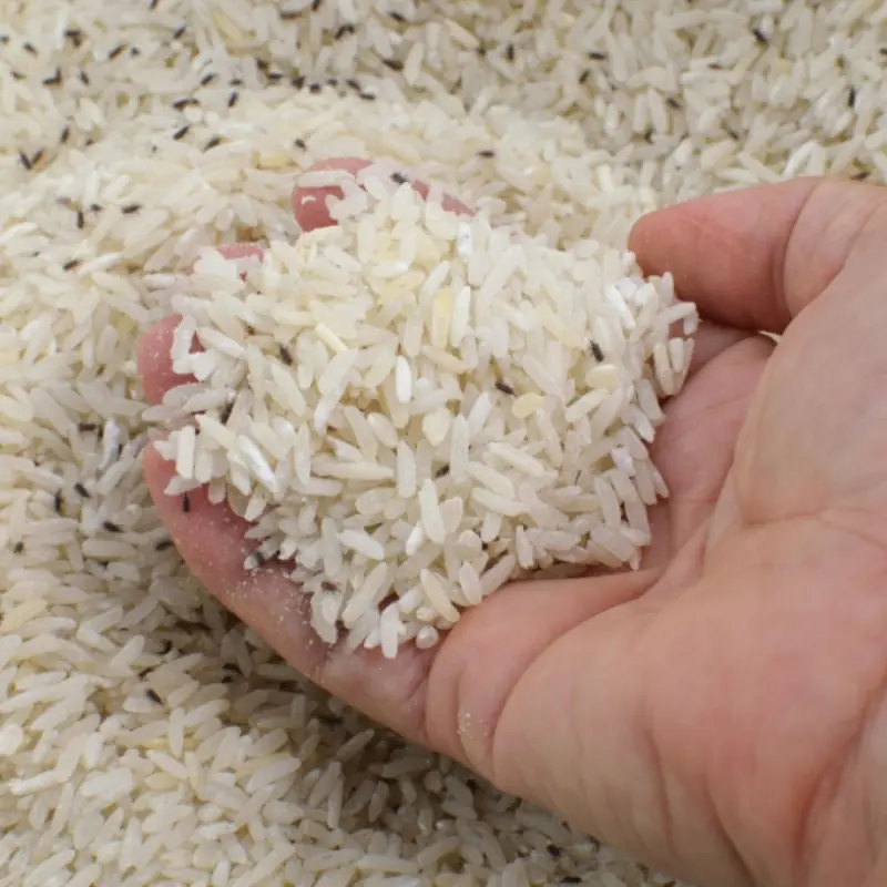 How to Store Rice to Prevent Weevils and Mold: Simple Tips to Keep It Fresh