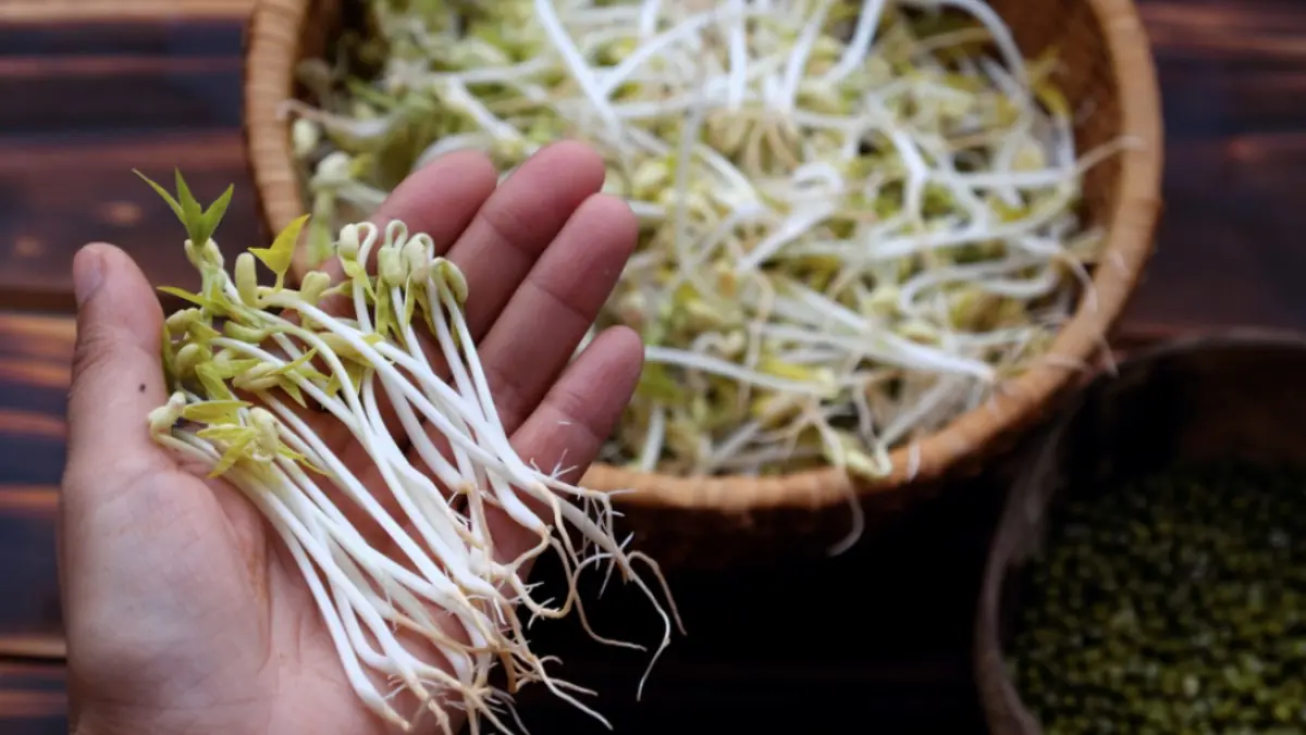 4 “Most To.xic” Vegetables Silently Dam.aging the Li.ver — Yet Common on Family Dining Tables