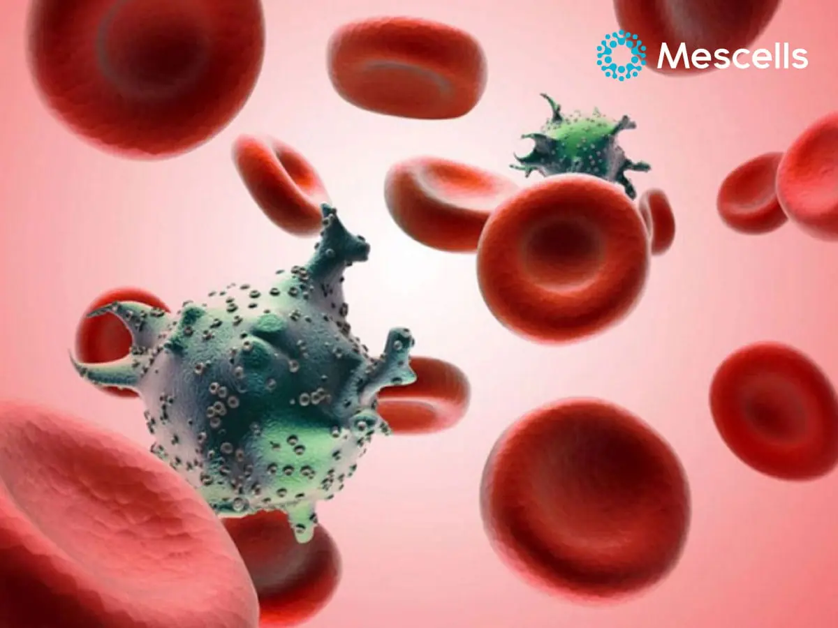 8 foods that ki.ll can.cer cells