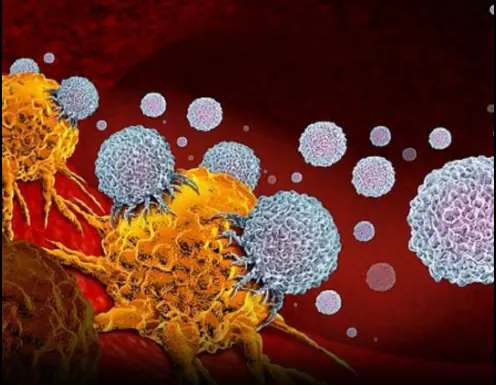 Itching in 9 Areas: A Warning Sign of Malignant Tumors, Number 7 Is the Most Common