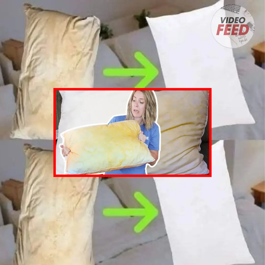 How to Deep-Clean Bed Pillows and Restore Them to Cloud-Like Freshness—Naturally