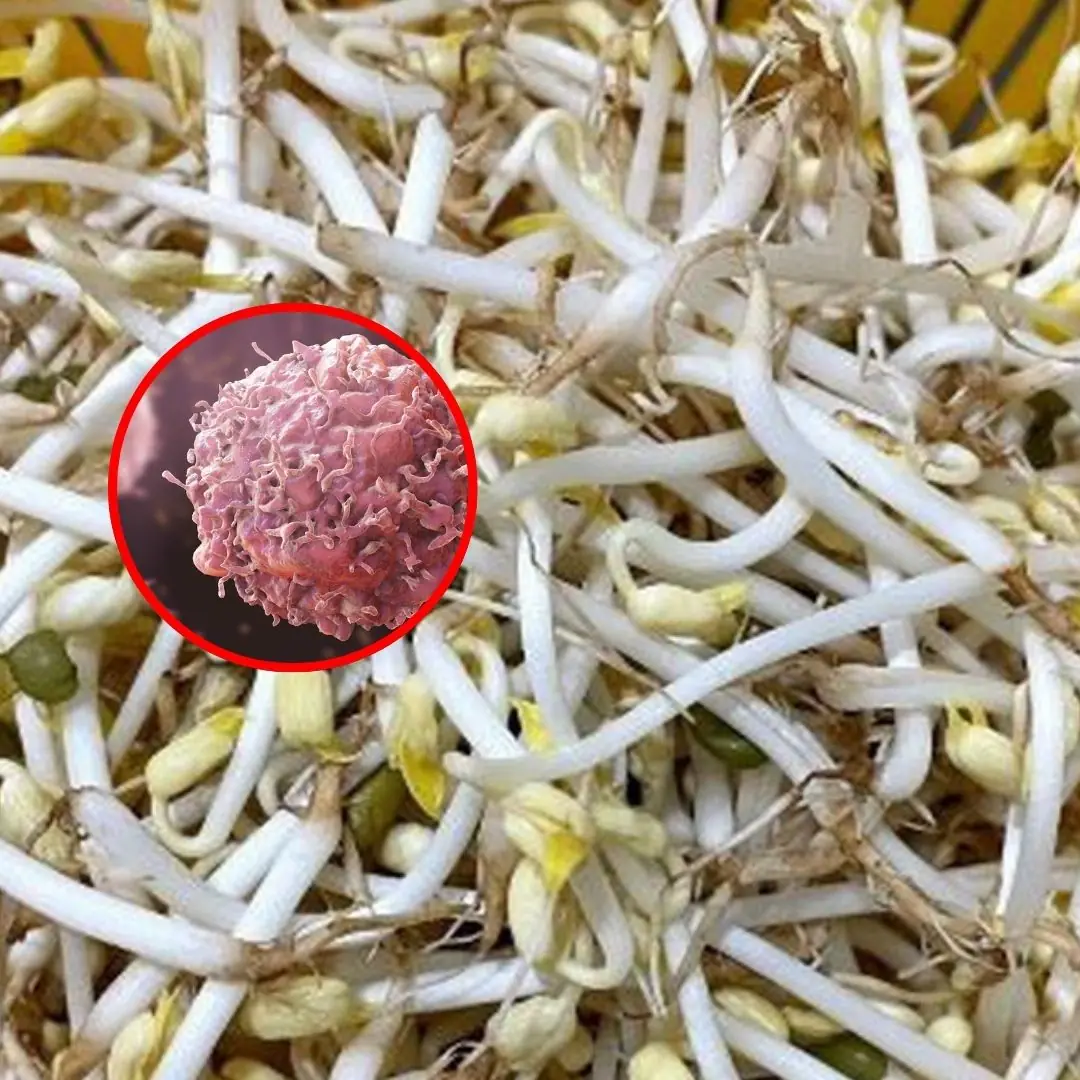 Vegetables listed as ca:ncer - causing that many people still eat, should be stopped immediately