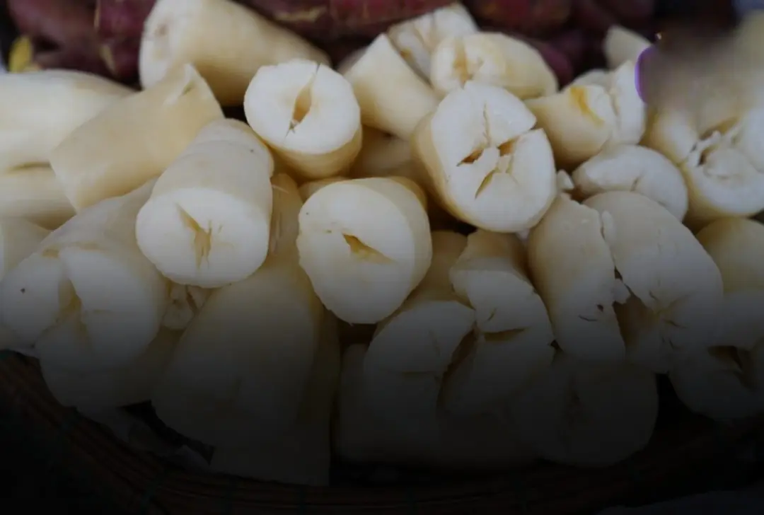 The Most Dangerous Food on Earth? The Truth About Cassava — Why Millions Eat It Safely While Hundreds Fall Ill Each Year