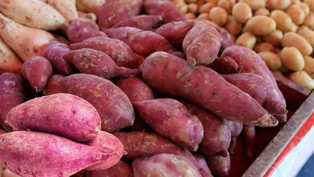 Sweet potatoes are good in every way, but there are 2 times when you should not eat them