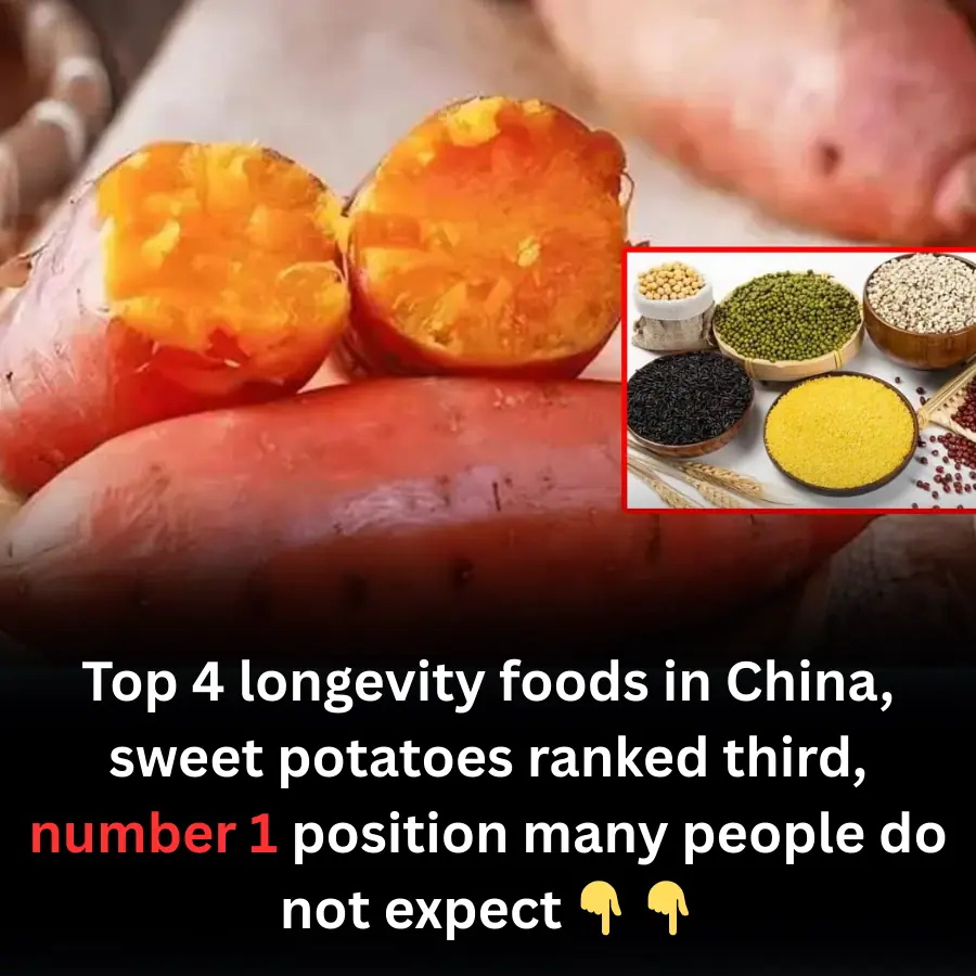 Top 4 longevity foods in China, sweet potatoes ranked third, number 1 position many people do not expect