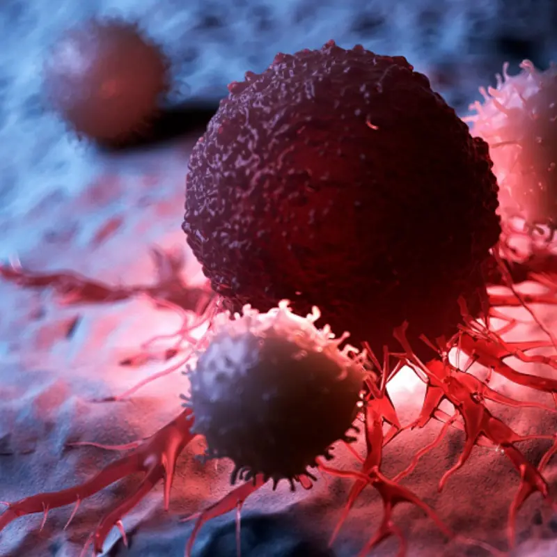 8 Can.cer-Fighting Foods That Destroy Abnormal Cells — Yet Most People Overlook Them