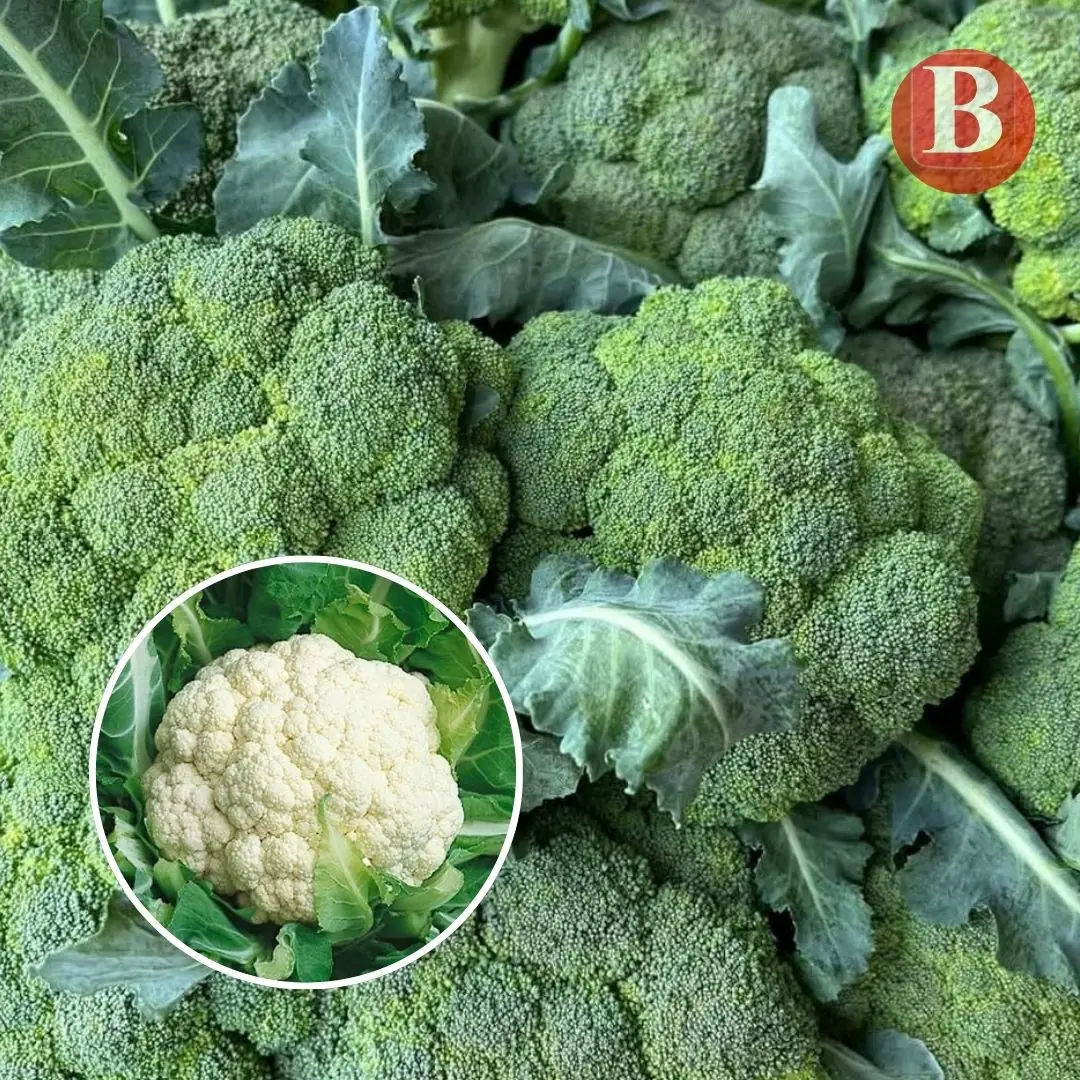Is Broccoli Better Than Cauliflower? The Real Truth About Cancer Risk, Heart Health and More