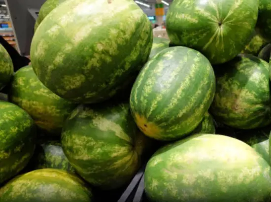 See why and how to choose melon effectively..