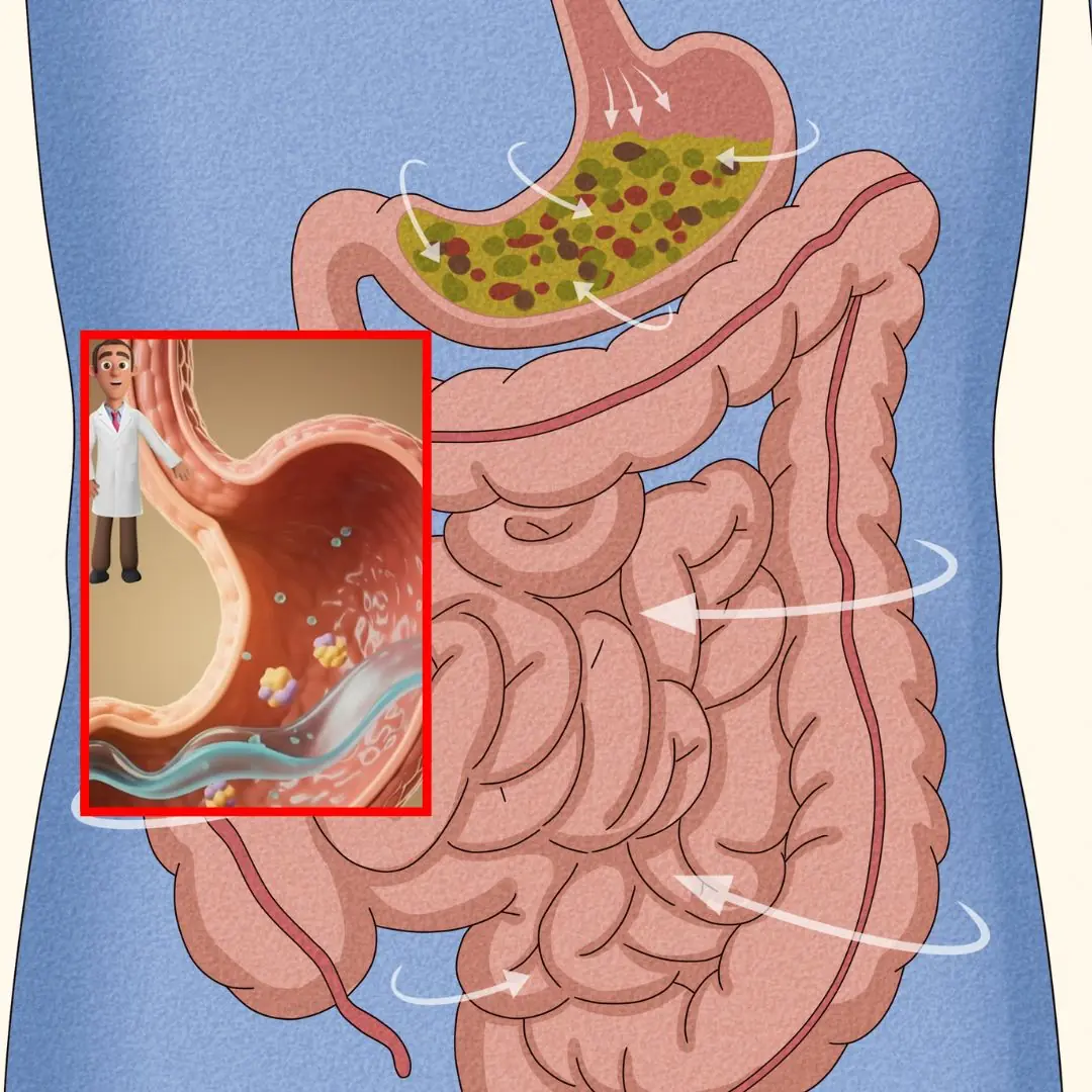 Tips to Stop Stomach Growling