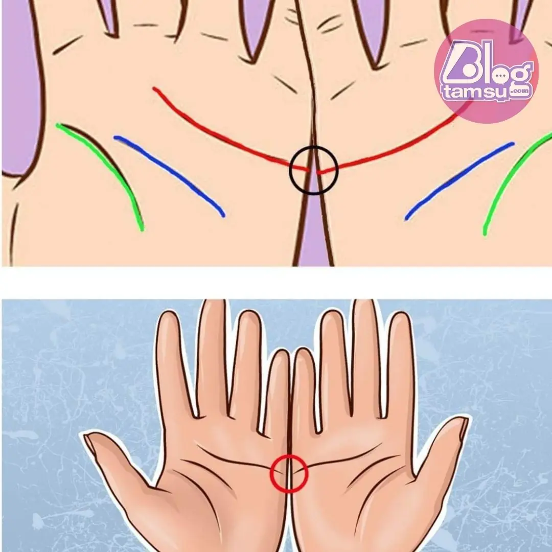 What Your Palm Lines Say About Love and Marriage