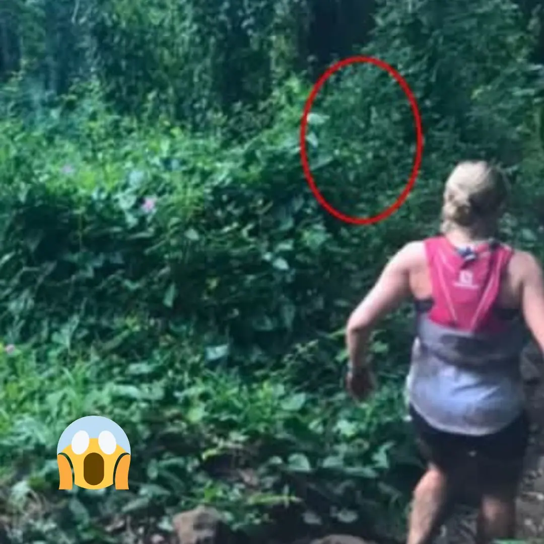 Runner in the Rainforest Snaps Strange Photo: Might It Be the Hawaiian Legend?