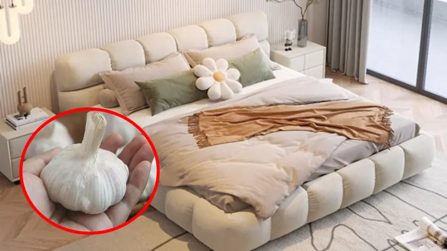 Why should you place garlic by your bedside?