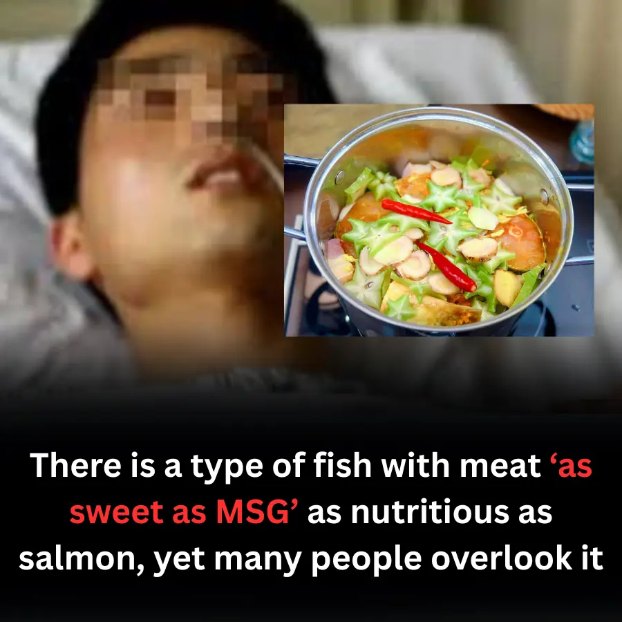 There is a type of fish with meat ‘as sweet as MSG’ as nutritious as salmon, yet many people overlook it