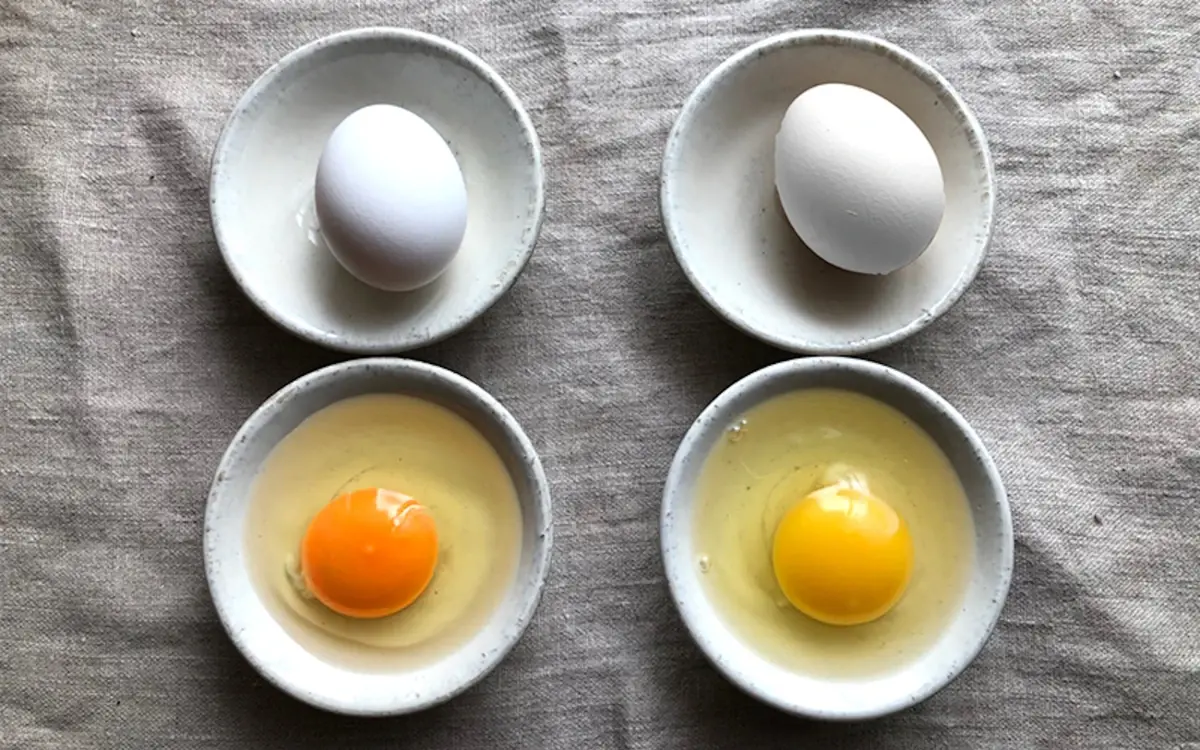 Why do egg yolks vary in color - and does it affect nutrition?