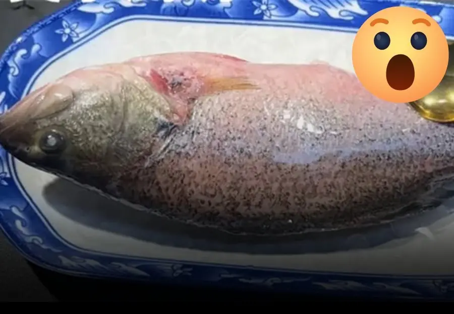 How to defrost fish and still keep it fresh 😲