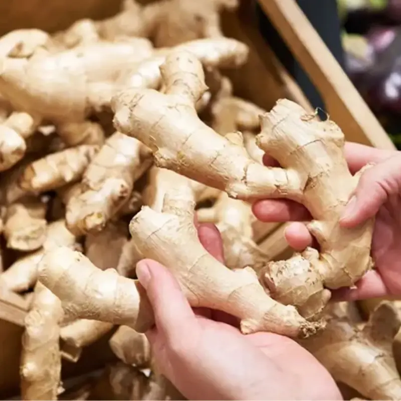 Ginger Usually Shrinks, Rots, or Sprouts Over Time — But This Storage Method Keeps It Fresh for Half a Year