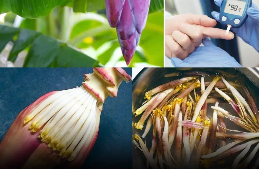 Say goodbye to diabetes, high blood pressure, and stomach pain with just one natural remedy you never expected