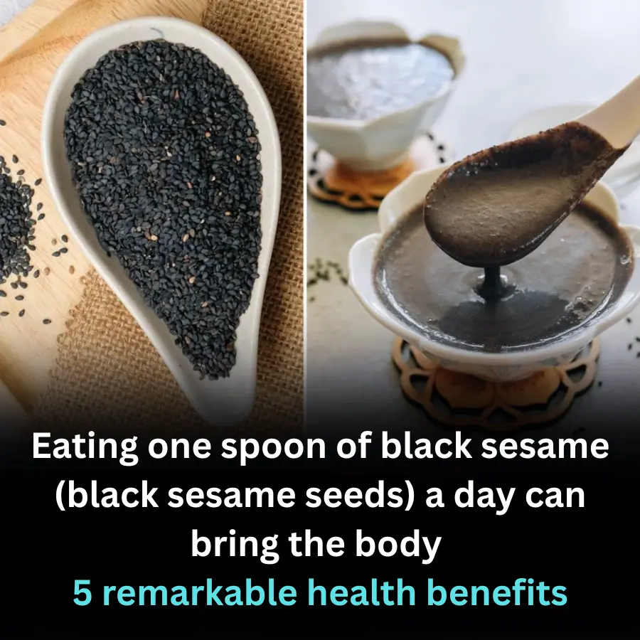 Eating one spoon of black sesame (black sesame seeds) a day can bring the body 5 remarkable health benefits