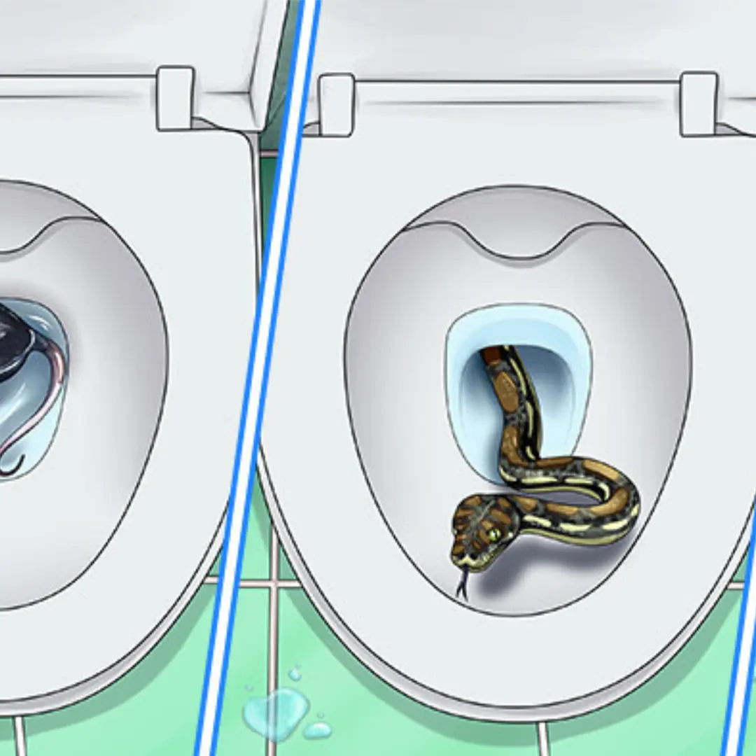 7 Terrifying Creatures That Can Crawl Up Through Your Toilet — And How to Stop Them