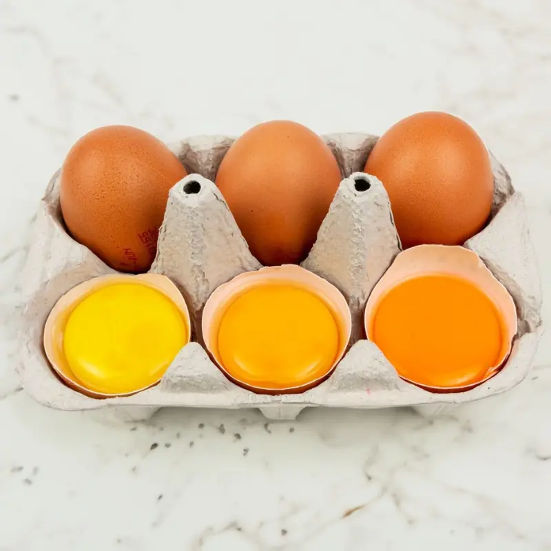 Do Egg Yolks Cause Heart Attacks? A Gastroenterologist Reveals the Truth