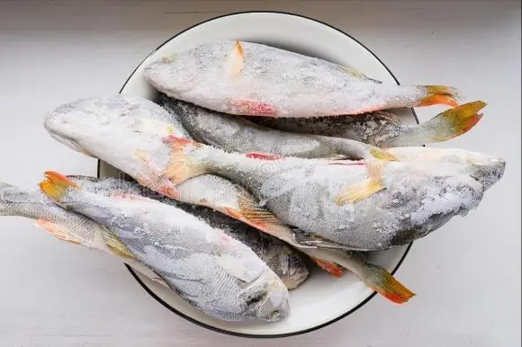 3 fast and reliable methods to defrost fish safely and keep it ready for perfect cooking