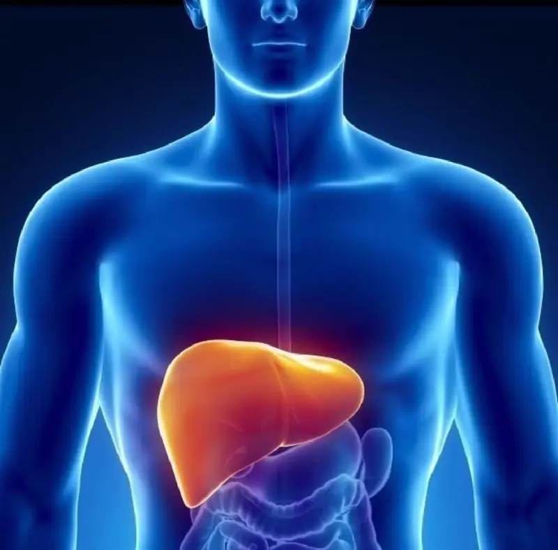 5 foods you should eat for a healthier liver