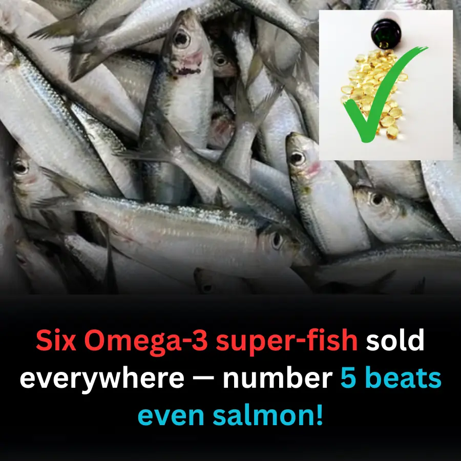 6 Omega-3 Powerhouse Fish You Can Easily Find in Local Markets