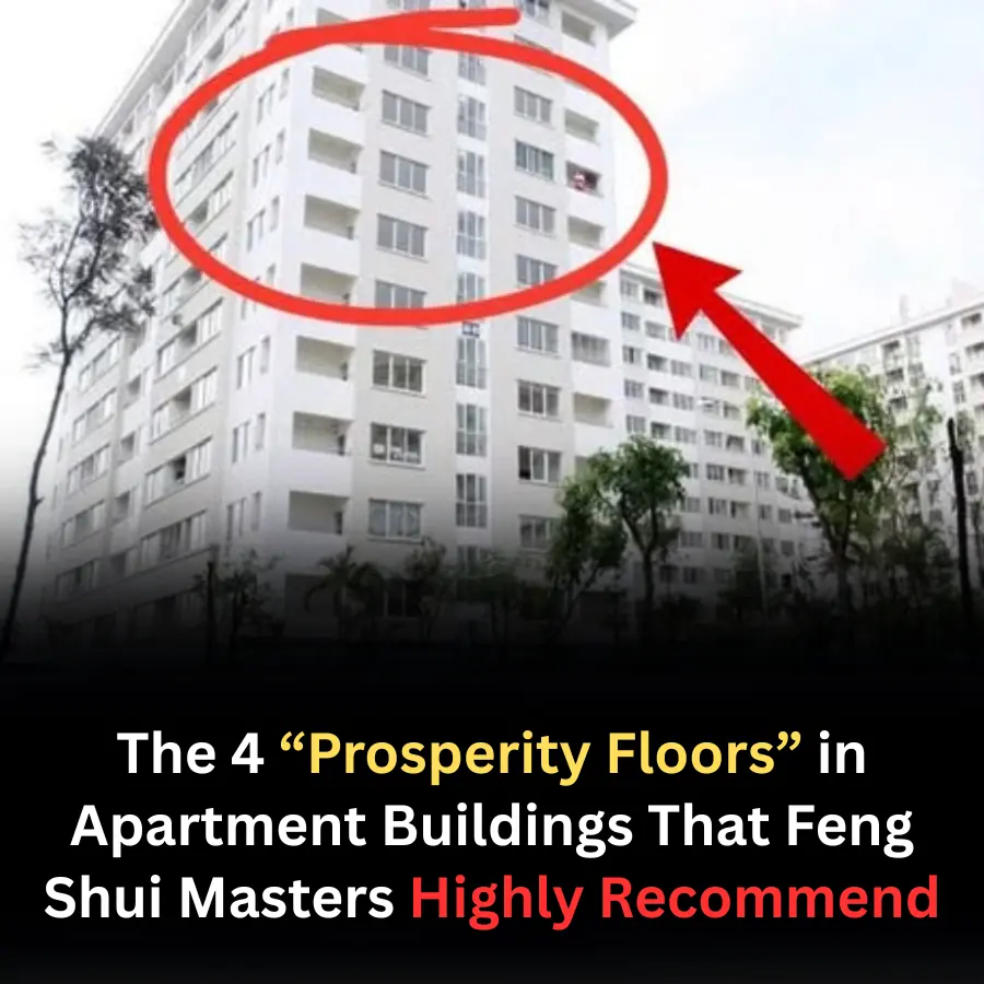 The 4 “Prosperity Floors” in Apartment Buildings That Feng Shui Masters Highly Recommend